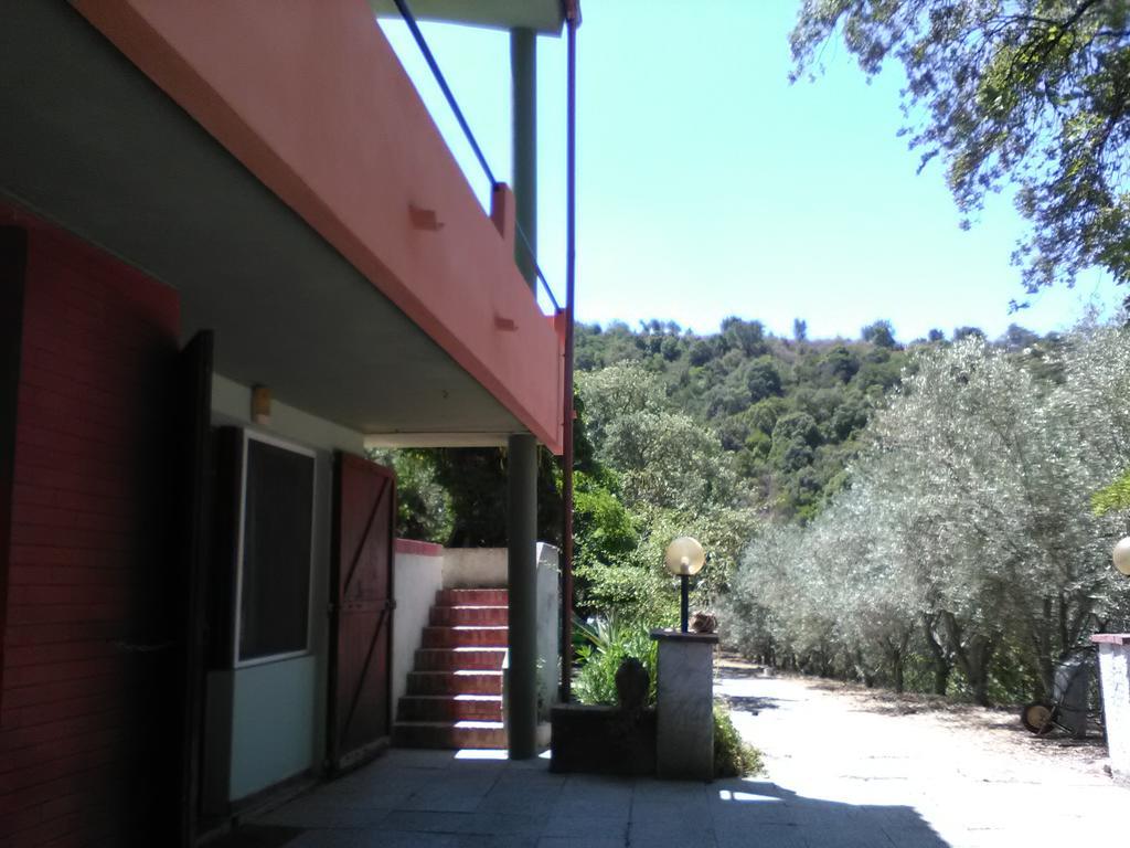 B&B La Quercia San Gregorio  Екстер'єр фото